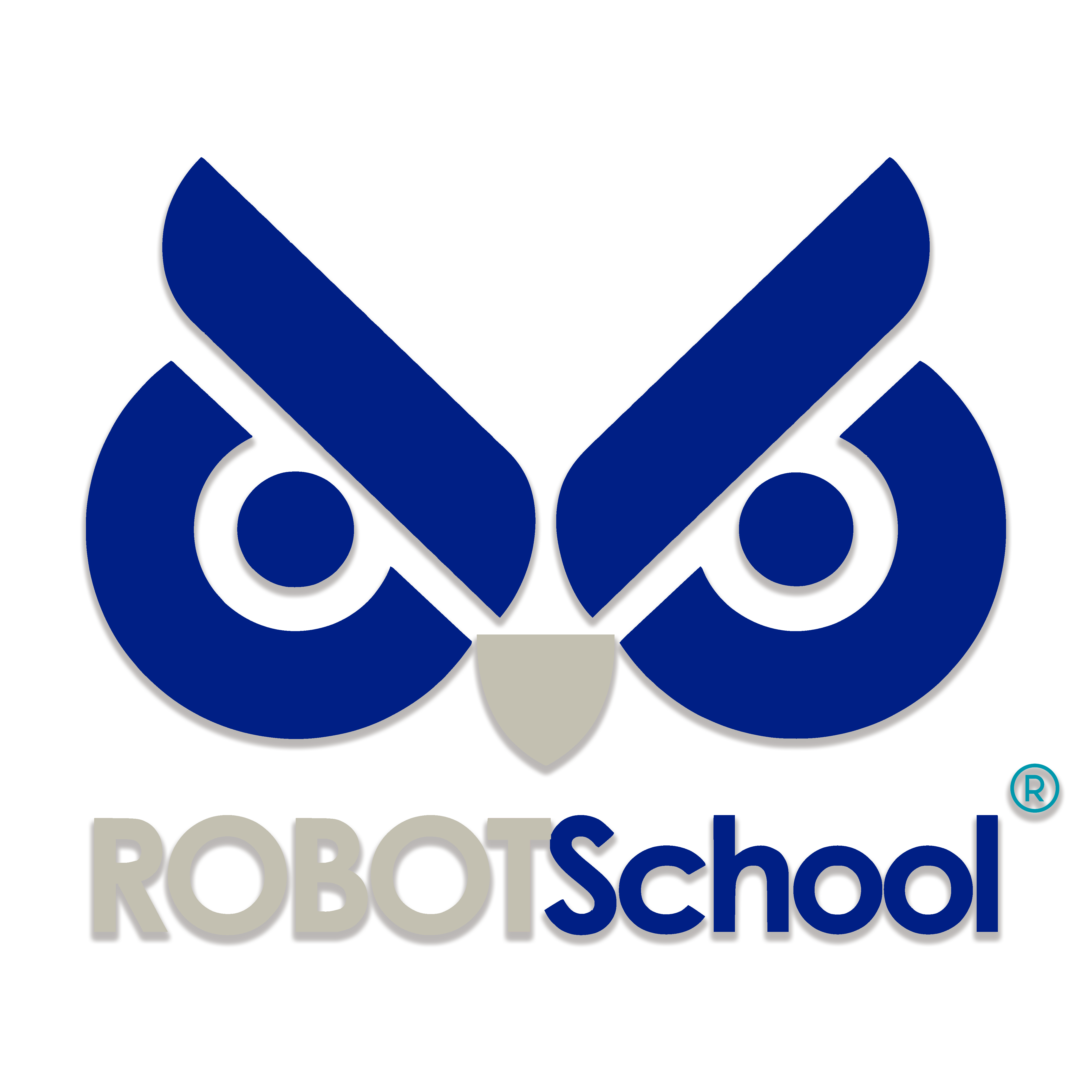 ROBOTSchool